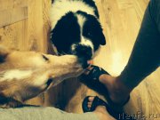 Превью фото № 161957