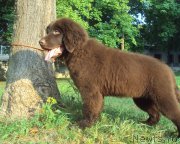 Превью фото № 162152