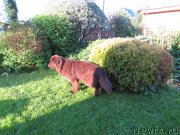 Превью фото № 162240