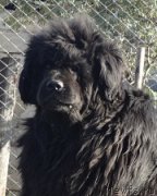 Превью фото № 162264