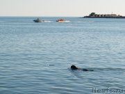 Превью фото № 162272