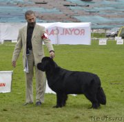 Превью фото № 162394