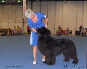 Превью фото № 162462