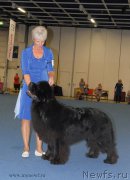 Превью фото № 162463