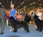 Превью фото № 162464