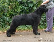 Превью фото № 162466