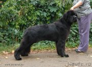 Превью фото № 162467