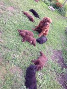 Превью фото № 162500