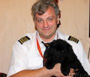 Превью фото № 162621