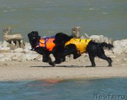 Превью фото № 162649