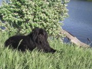 Превью фото № 162676