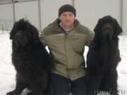 Превью фото № 162679