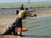 Превью фото № 162691