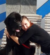 Превью фото № 162829