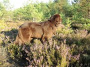 Превью фото № 162837