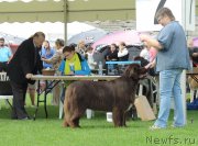 Превью фото № 162847