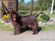 Превью фото № 162852