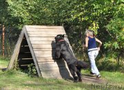 Превью фото № 162857