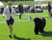 Превью фото № 162867