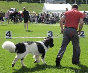 Превью фото № 162869