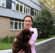 Превью фото № 162987