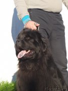 Превью фото № 162999