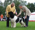 Превью фото № 16306