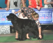 Превью фото № 163061