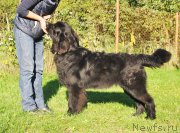 Превью фото № 163071