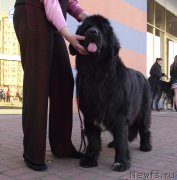 Превью фото № 163150