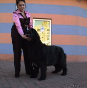 Превью фото № 163151