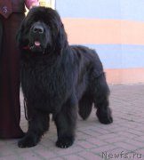 Превью фото № 163154