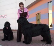 Превью фото № 163155