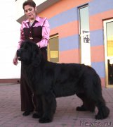 Превью фото № 163157