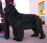 Превью фото № 163159