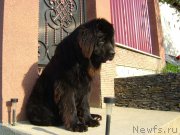 Превью фото № 163162