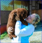 Превью фото № 163262