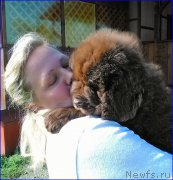 Превью фото № 163263