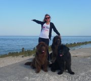 Превью фото № 163286