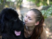 Превью фото № 163292