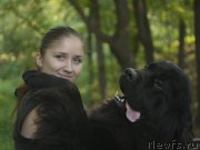 Превью фото № 163293