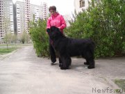 Превью фото № 163371