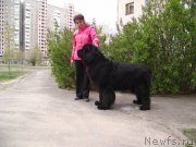 Превью фото № 163372