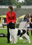 Превью фото № 163373