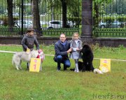 Превью фото № 163465