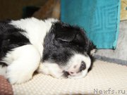 Превью фото № 163573