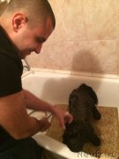 Превью фото № 163600