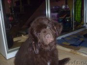 Превью фото № 163637