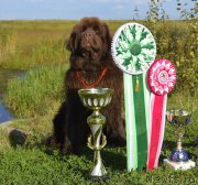 Превью фото № 163719