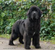 Превью фото № 163750